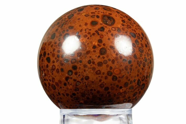 Polished Bauxite (Aluminum Ore) Sphere - Russia #316280